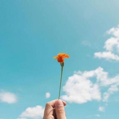 ag旗舰厅客户端下载