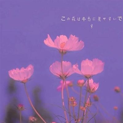 完美365体育ios下载