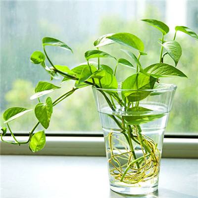 beat365手机版官方网站app下载